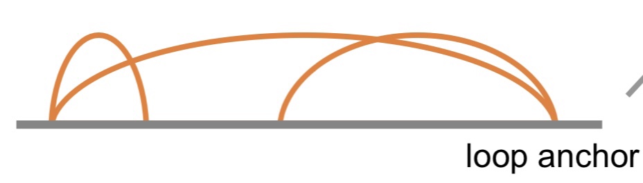 LoopAnchor